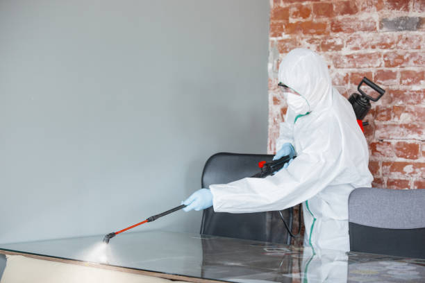 Forensic Mold Investigation in Highland Beach, FL